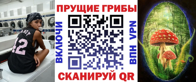 Псилоцибиновые грибы ЛСД  даркнет сайт  Ленинск 